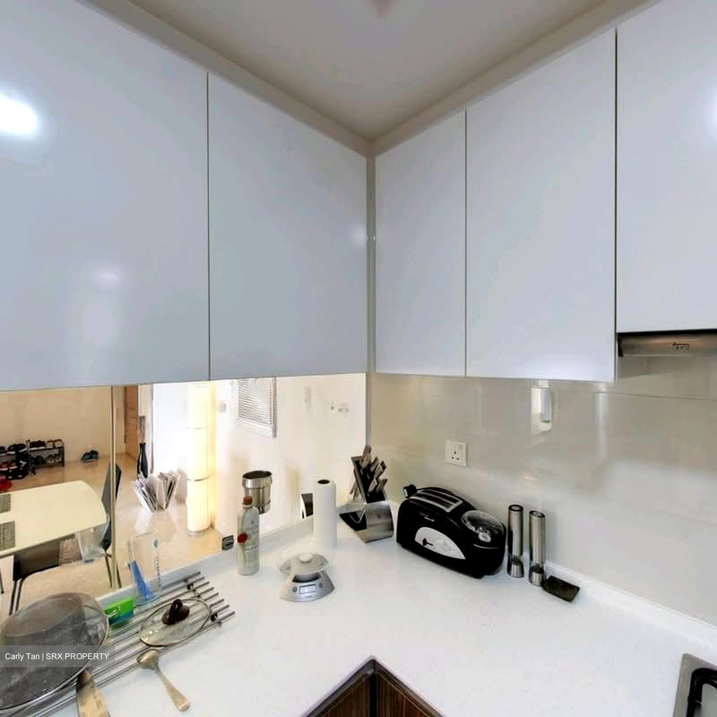 The Lakefront Residences (D22), Condominium #559693181